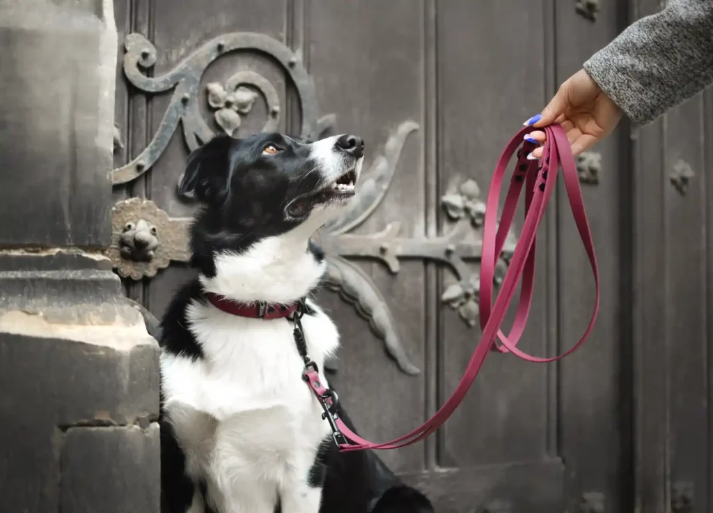 DSC_0732.jpg-1-1024x736