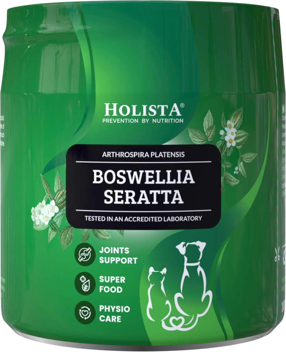 Holista Boswellia Serrata Holista Boswellia Serrata 100g