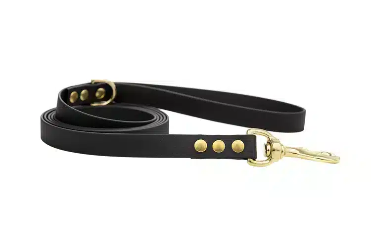 smycz-miejska-black-mosiezne-okucia-karabinek-sprezynowy-biothane-accdog ACC biothane city leash black with brass fittings