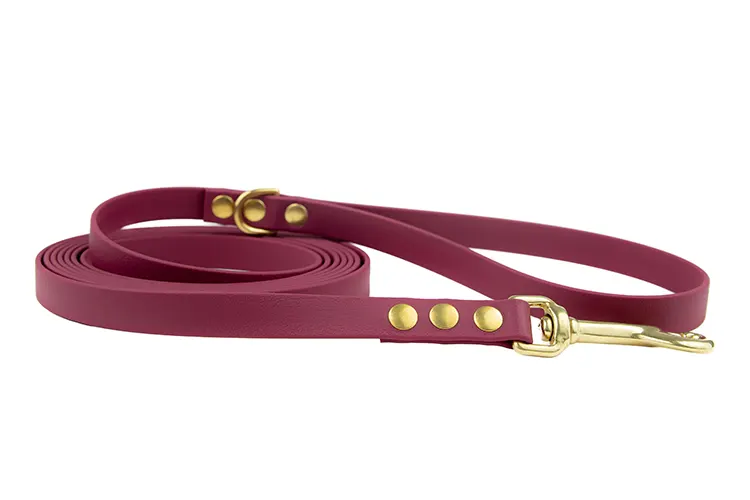 smycz-miejska-elegant-mosiezne-sprezynowy-biothane-accdog ACC biothane city leash elegant with brass fittings