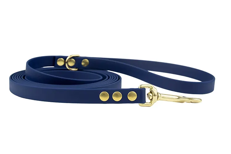 smycz-miejska-ocean-sprezynowy-mosiezny-biothane-accdog ACC biothane city leash ocean with brass fittings