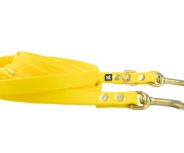 ACC biothane Multi-Clip yellow with brass fittings