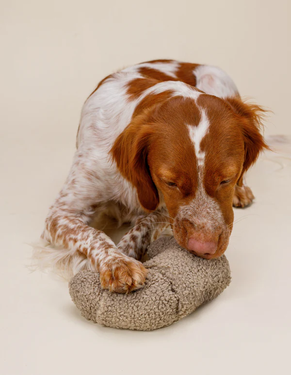 IMG_0712 Enrichment plush dog toy CROISSANT - product picture