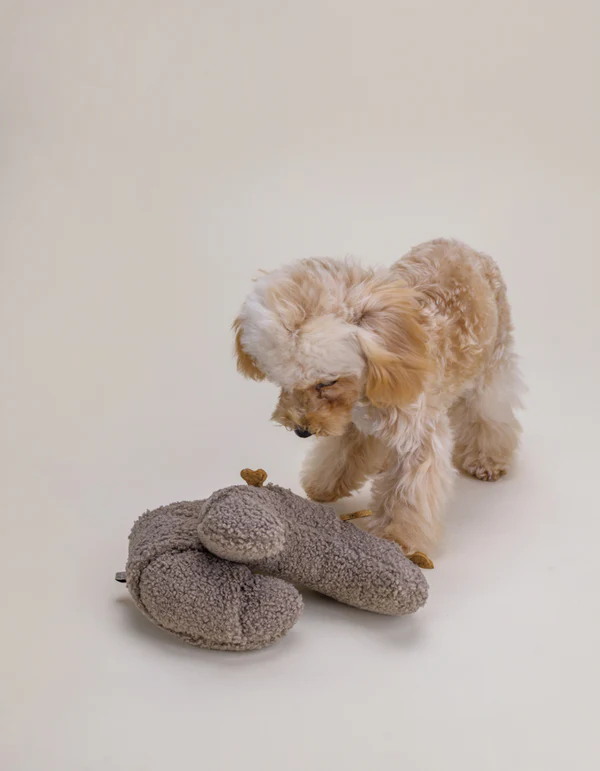 IMG_0715 Enrichment plush dog toy CROISSANT - product picture