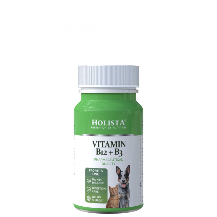 witamina-b12-b3-90-tabletek Holista Vitamin B12 + B3