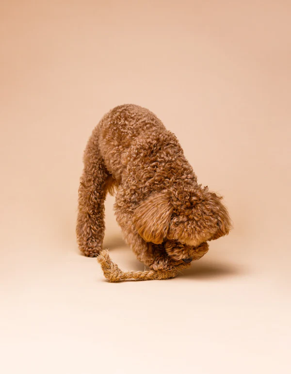 225 Lillabel Natural Coconut Fiber Dog Tug Toy COCO