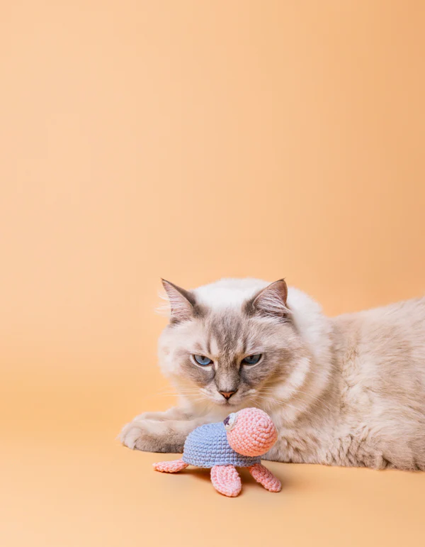 LPB-TOY-MRTURTLE-40_2 LILLABEL Crinkly Toy MR TURTLE light grey