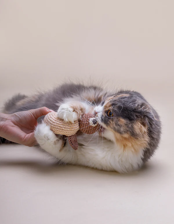 LillabelNET2024_3of38 LILLABEL Crinkly Toy MR TURTLE beige