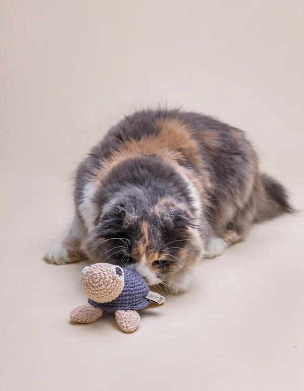 Lillabel_NET_2024_4_of_38 LILLABEL Crinkly Toy MR TURTLE nightshadow blue