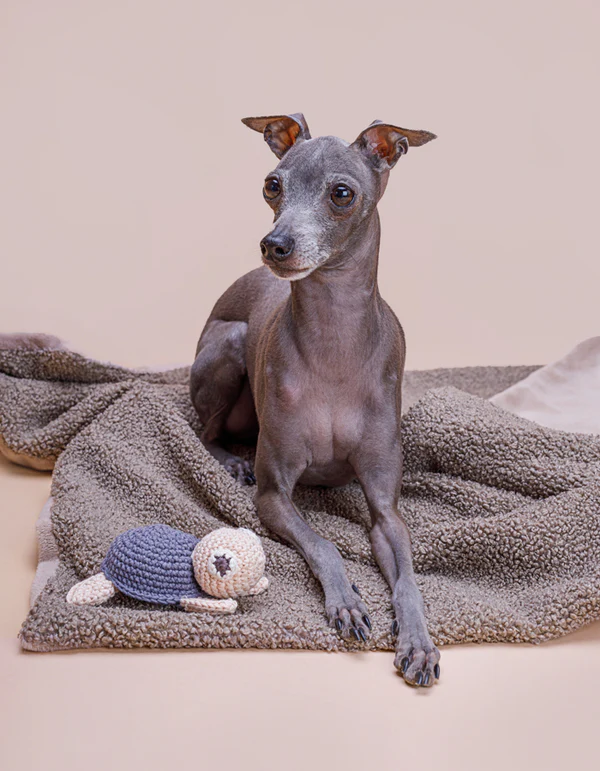 Lillabel_marzec_web_19_of_19 LILLABEL Crinkly Toy MR TURTLE nightshadow blue